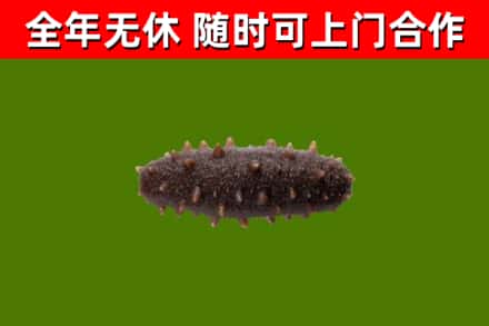 北仑区烟酒回收干海参.jpg